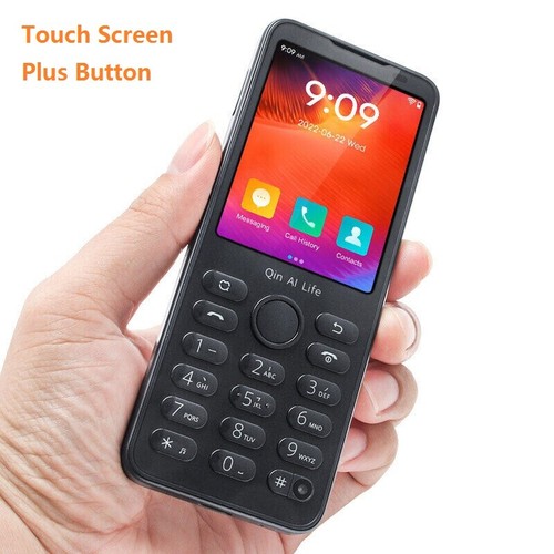 Qin f21 pro lte mini - qin, 4g